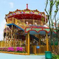 carousel merry go around amusement rides