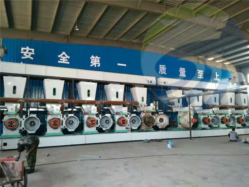 1-2T Ring Die Pellet Machine For Sale 3