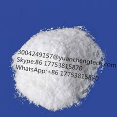 Levothyroxine Sodium 