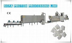 Soya Protein Processing Line