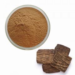 Figwort Root Extract