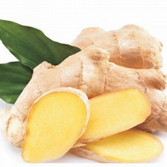 Ginger Powder