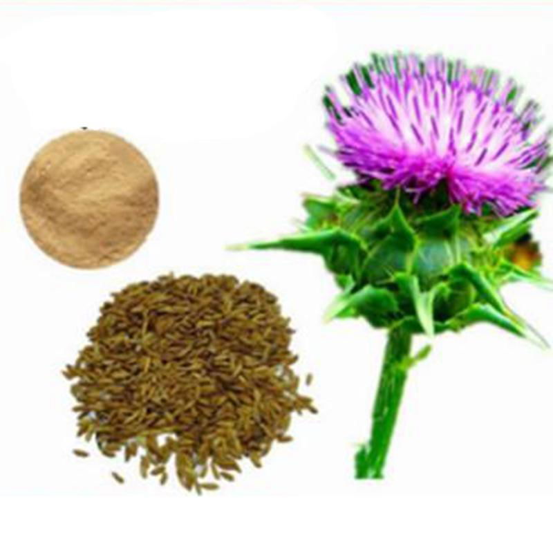 milk thistle extract powder BC1011 Bai Cao Cui (China Manufacturer