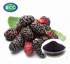 Mulberry Fruit Extract