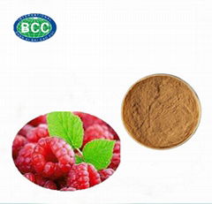 Raspberry powder