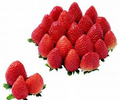 Strawberry Extract Powder