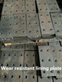 Wear resistant steel parts 2