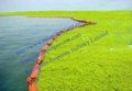 Silt Curtain/PVC floating oil spill prevention boom  from Qingdao Singreat