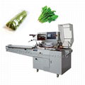 BG-450W horizontal type flow vegetable lettuce packing machine automatic packagi 1