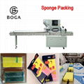 BG-250 Kitchen Sponge Scrubber packing machine price scouring scrubber packaging