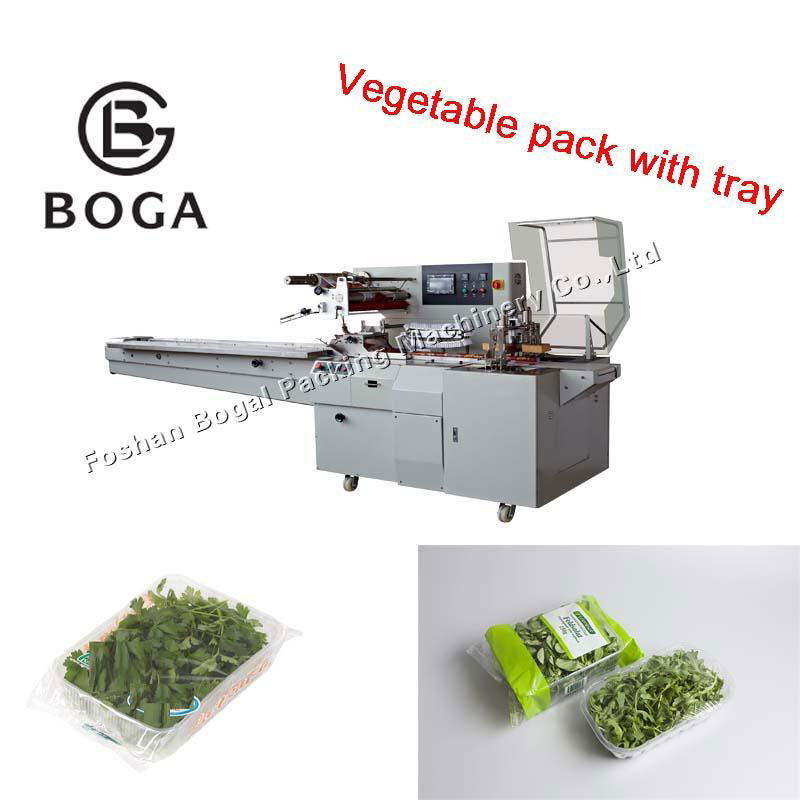 BG-450W horizontal type flow vegetable lettuce automatic packing machine