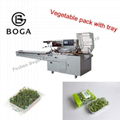 BG-450W horizontal type flow vegetable lettuce automatic packing machine