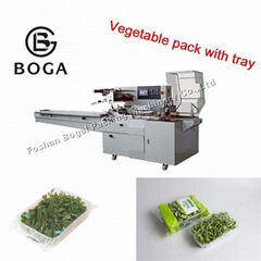 BG-450W horizontal type flow vegetable