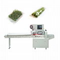 BG-450W horizontal type flow vegetable lettuce automatic packing machine 2