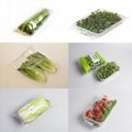 BG-450W horizontal type flow vegetable lettuce automatic packing machine
