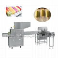 BG-250 ice cream packaging machine icelolly popsicle packing machine 3