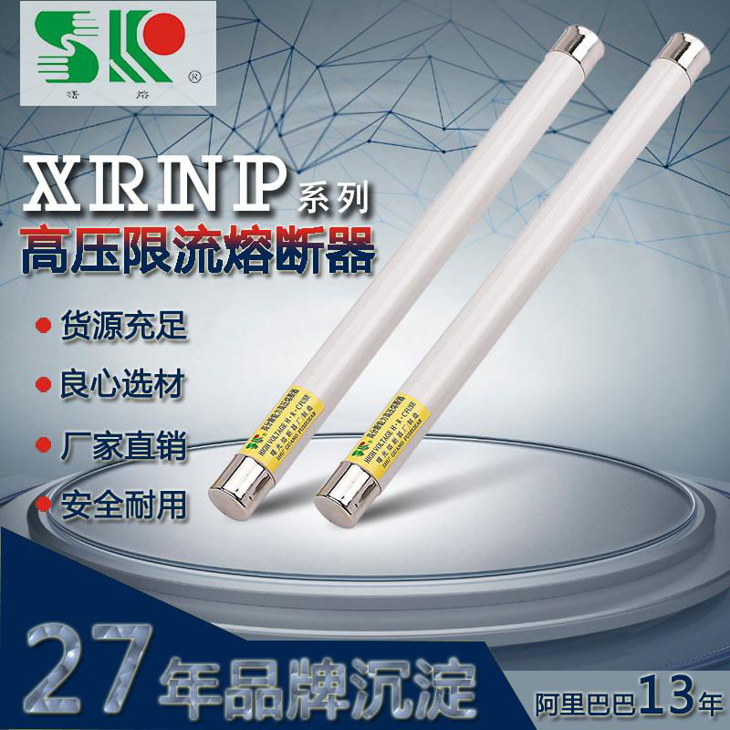 XRNP1 高压限流熔断器