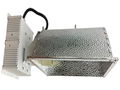 315W CMH Grow Light Fixture