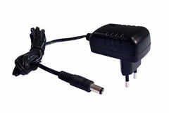 6W AC-DC Level VI Efficient Power Adapter With DC Cord