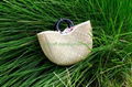 selling seagrass fashion bag 1