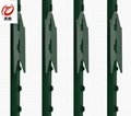 High quality farm metal t fence post/Steel studded t post for sale  2