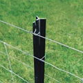 Star Pickets Y Fence Post  5