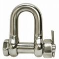 Stainless Steel Shackle 3