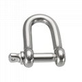 Stainless Steel Shackle 5