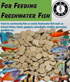 Nibble Bits (Fish Food Tablets) 3