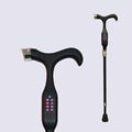 LED Light FM SOS Music Flashlight GPS Positioning Walking Stick