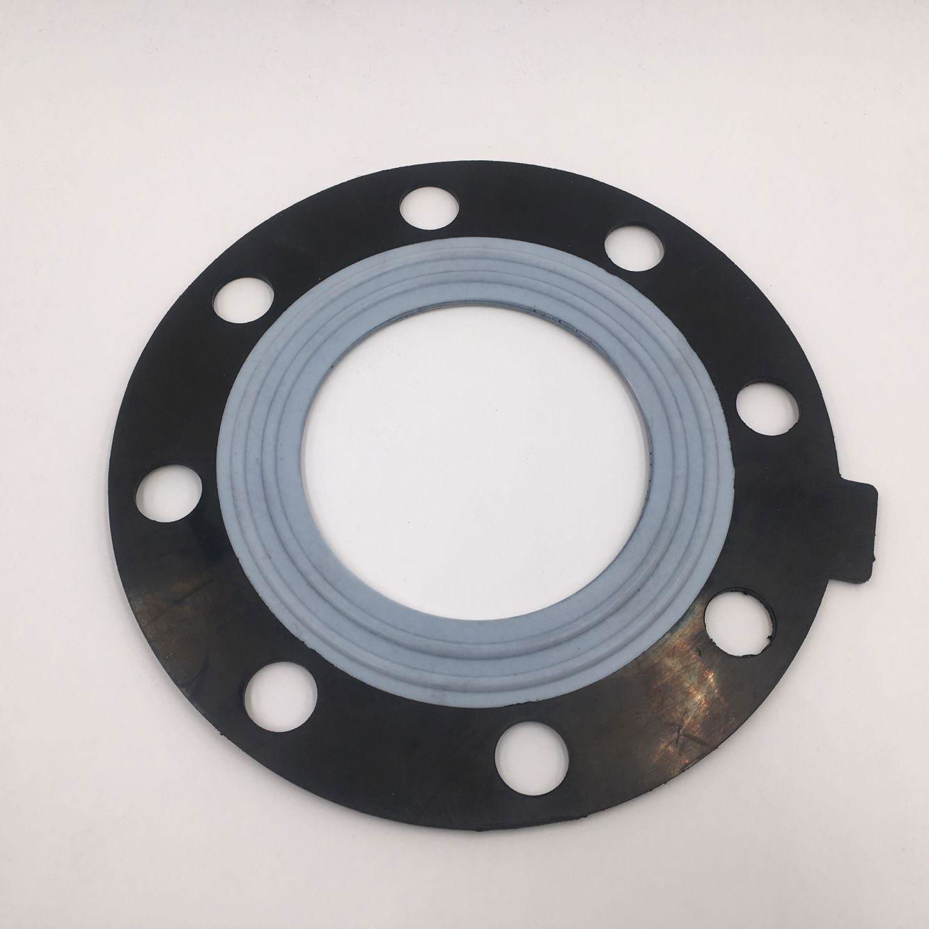 Sealing gasket 3