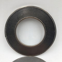 Reinforced Graphite Gasket