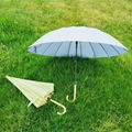 Ladies Straight umbrella for Gift or Advertising and Retail 3