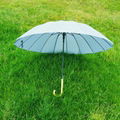 Ladies Straight umbrella for Gift or Advertising and Retail 4