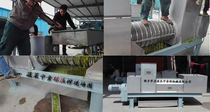 Vegetable Press Machine