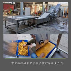 mango peeling and pitting pulper production line