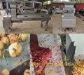 Pomegranate peeling machine