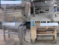 Sea buckthorn fruit threshing machine 5