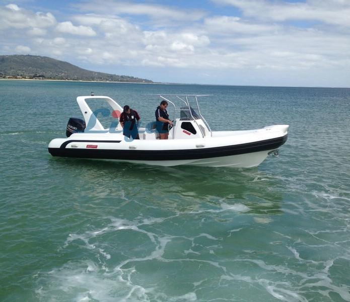 Liya 7.5m/24.6ft rib boat rigid inflatable boat 2