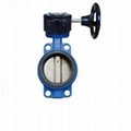 Butterfly Valve with Middle Clamp 1