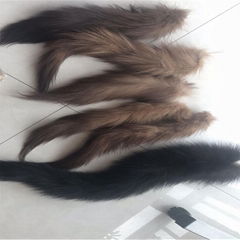 baum marten tail