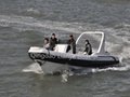 Liya 7.5m rib inflatable boats hypalon boat 5