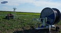 Agriculture mobile hose reel irrigation sprinkler system tractor operated for sa 4