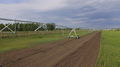 Latest agricultural farmland center pivot sprinkler irrigation system 3