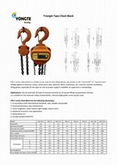 CE good quality 1t 3m chain hoist