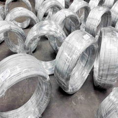 Galvanized Steel Wire