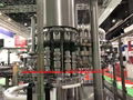 Juice filling plant Automatic pet bottle juice filling machine whole production  3