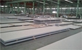 Stainless Steel Plates