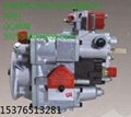 K2031-300G发电机组发动机PT燃油泵总成3081020 2