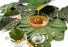 Soya Lecithin Liquid